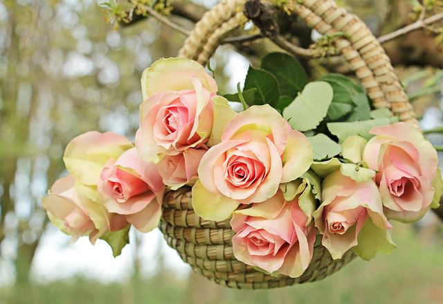 10 mẫu hoa hồng tặng sinh nhật nàng lãng mạn nhất quả đất Điện hoa 24h