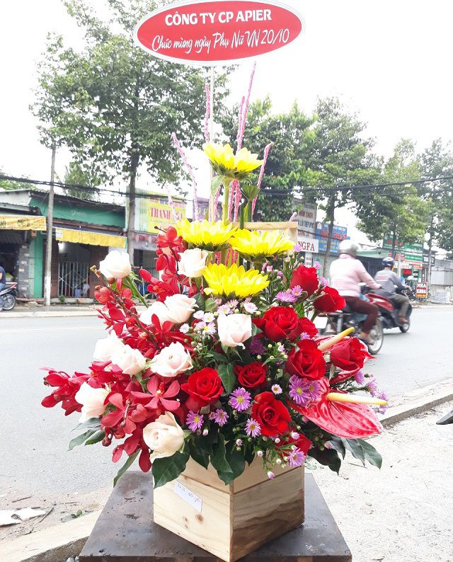 dien hoa binh duong gia re