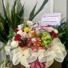 shop hoa tươi Đồng Hới