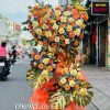 Shop Hoa Tươi Xã Bình Chánh TP.HCM